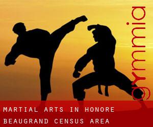 Martial Arts in Honoré-Beaugrand (census area)