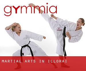 Martial Arts in Illorai
