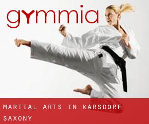 Martial Arts in Karsdorf (Saxony)