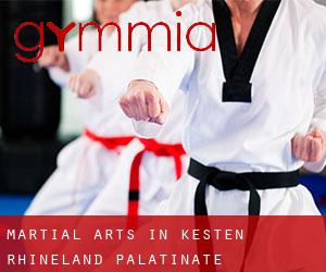 Martial Arts in Kesten (Rhineland-Palatinate)