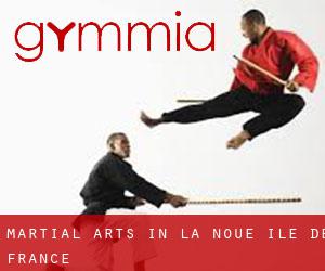 Martial Arts in La Noue (Île-de-France)