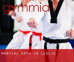 Martial Arts in Leslie