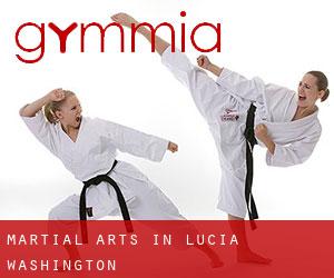 Martial Arts in Lucia (Washington)