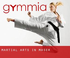 Martial Arts in Maser