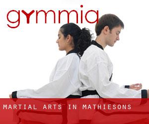 Martial Arts in Mathiesons