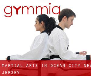 Martial Arts in Ocean City (New Jersey)
