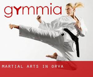 Martial Arts in Orva