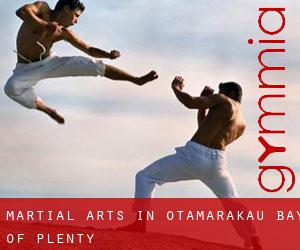 Martial Arts in Otamarakau (Bay of Plenty)