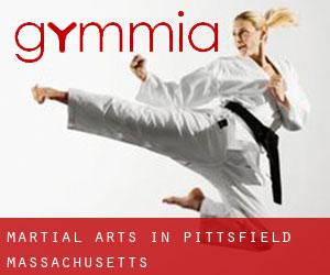 Martial Arts in Pittsfield (Massachusetts)