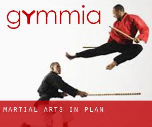 Martial Arts in Plan