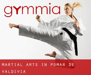 Martial Arts in Pomar de Valdivia