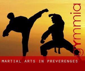 Martial Arts in Préverenges