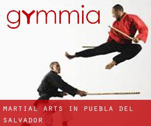 Martial Arts in Puebla del Salvador