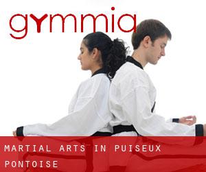 Martial Arts in Puiseux-Pontoise