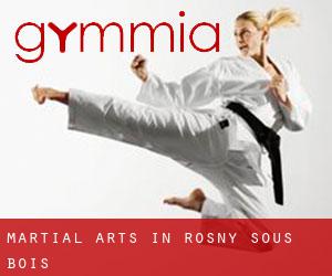 Martial Arts in Rosny-sous-Bois