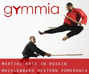Martial Arts in Rossin (Mecklenburg-Western Pomerania)
