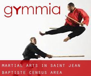 Martial Arts in Saint-Jean-Baptiste (census area)