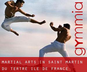 Martial Arts in Saint-Martin-du-Tertre (Île-de-France)