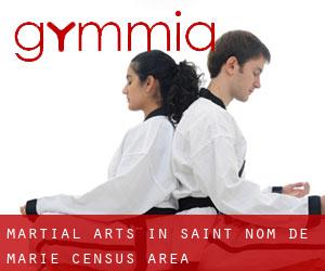 Martial Arts in Saint-Nom-de-Marie (census area)