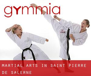 Martial Arts in Saint-Pierre-de-Salerne