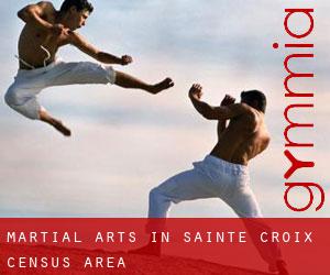 Martial Arts in Sainte-Croix (census area)