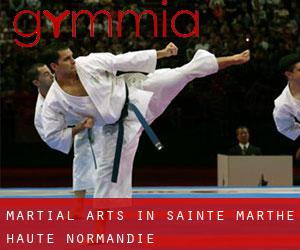 Martial Arts in Sainte-Marthe (Haute-Normandie)