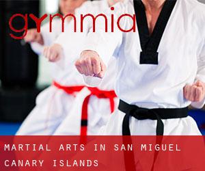 Martial Arts in San Miguel (Canary Islands)