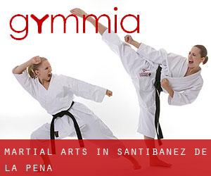 Martial Arts in Santibáñez de la Peña