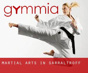 Martial Arts in Sarraltroff