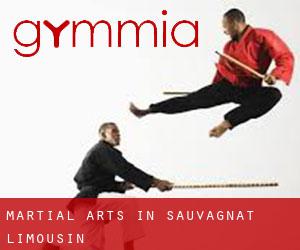 Martial Arts in Sauvagnat (Limousin)