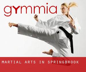 Martial Arts in Springbrook