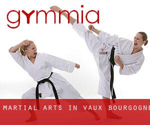 Martial Arts in Vaux (Bourgogne)