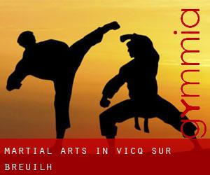 Martial Arts in Vicq-sur-Breuilh