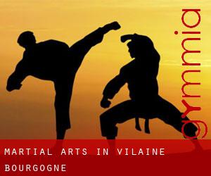 Martial Arts in Vilaine (Bourgogne)