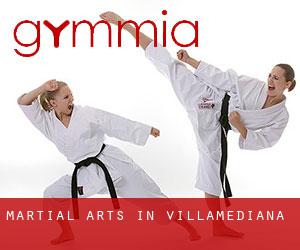 Martial Arts in Villamediana