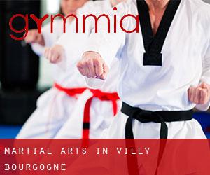 Martial Arts in Villy (Bourgogne)