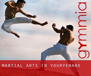 Martial Arts in Vourvenans