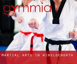 Martial Arts in WinsloeNorth