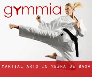 Martial Arts in Yebra de Basa