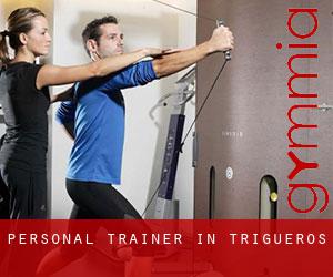 Personal Trainer in Trigueros
