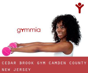 Cedar Brook gym (Camden County, New Jersey)