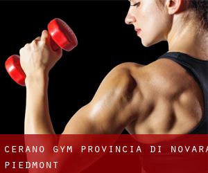 Cerano gym (Provincia di Novara, Piedmont)