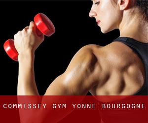 Commissey gym (Yonne, Bourgogne)