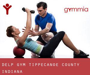 Delp gym (Tippecanoe County, Indiana)