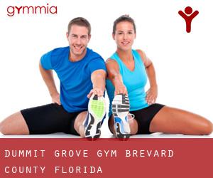 Dummit Grove gym (Brevard County, Florida)