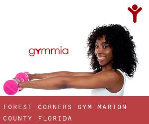 Forest Corners gym (Marion County, Florida)