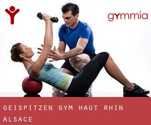Geispitzen gym (Haut-Rhin, Alsace)