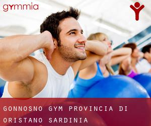 Gonnosnò gym (Provincia di Oristano, Sardinia)