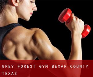 Grey Forest gym (Bexar County, Texas)