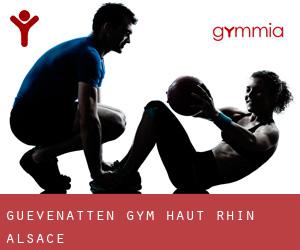 Guevenatten gym (Haut-Rhin, Alsace)